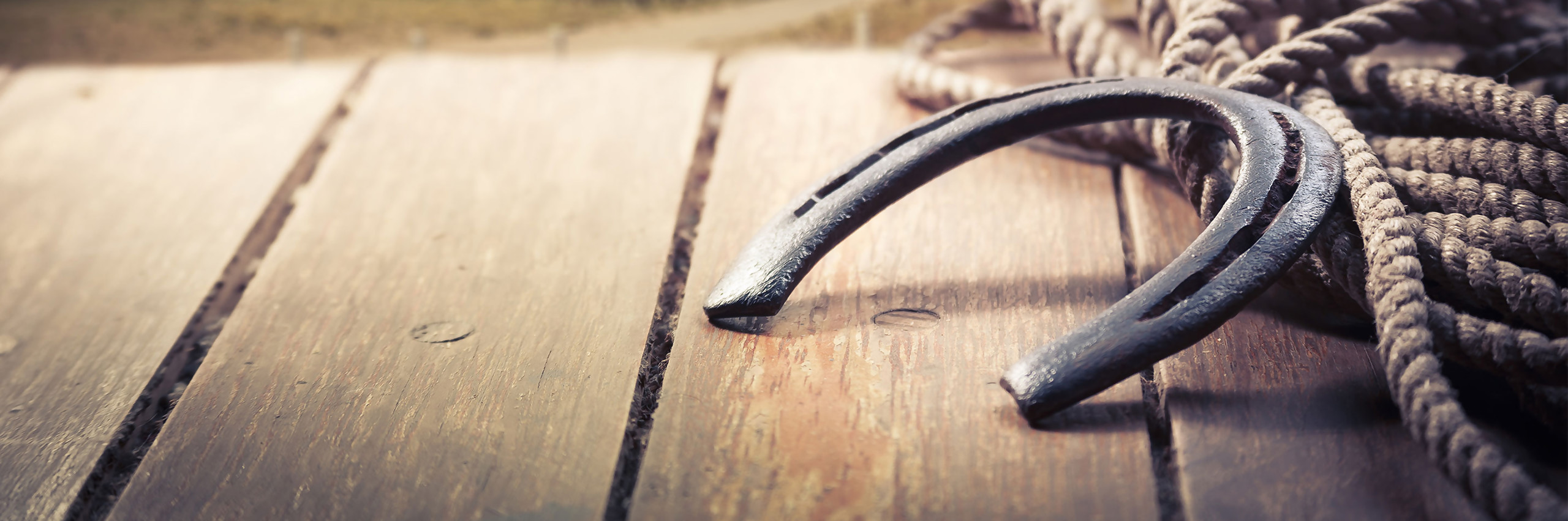 Stable Condition: A Daily Dose of Horsemanship