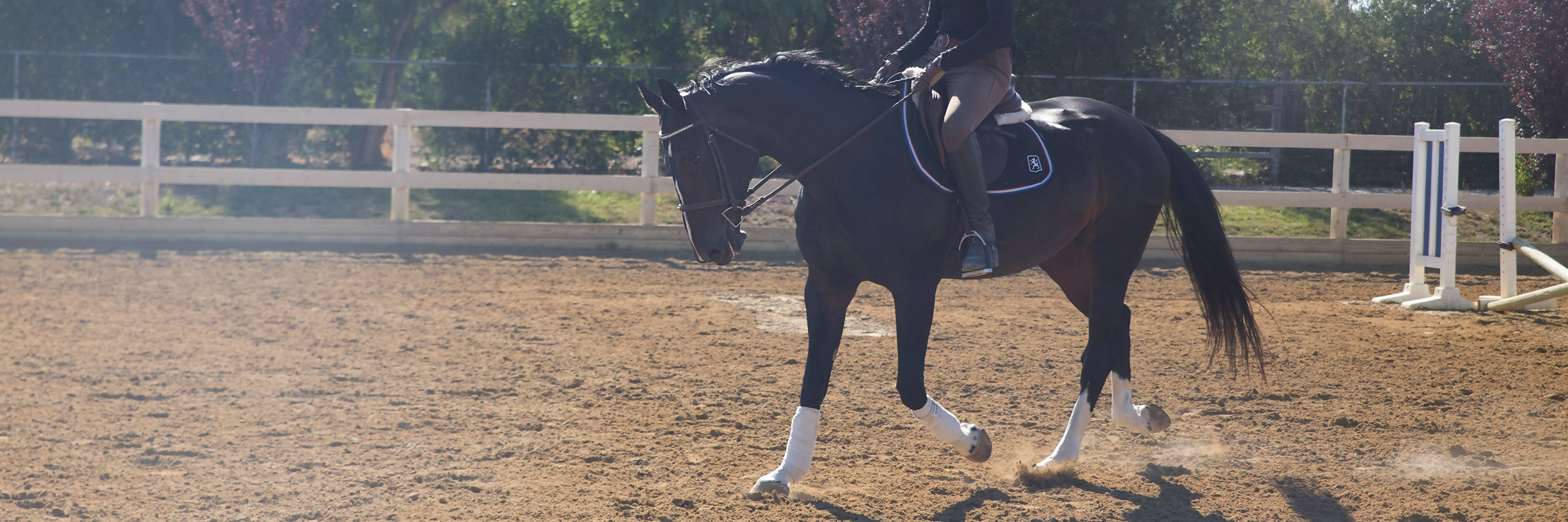 Stable Condition: Riding Videos