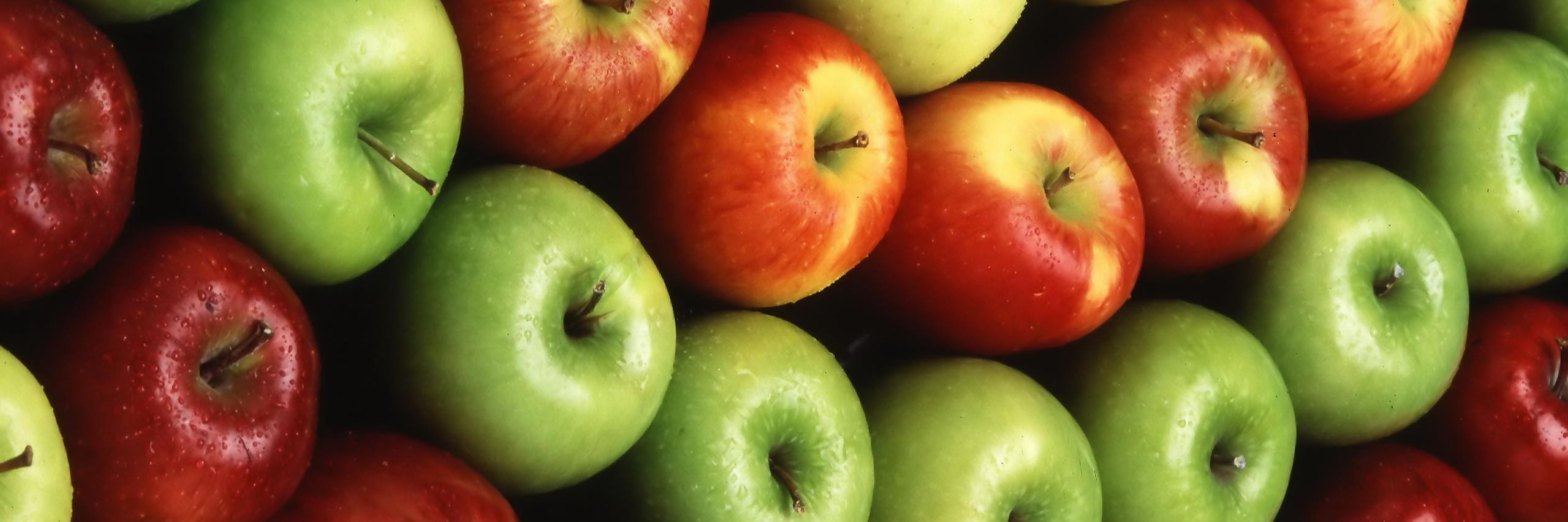 almafa sdfg dsgsdfalmafa rdfg dsgsdfalmafa sdfg ds