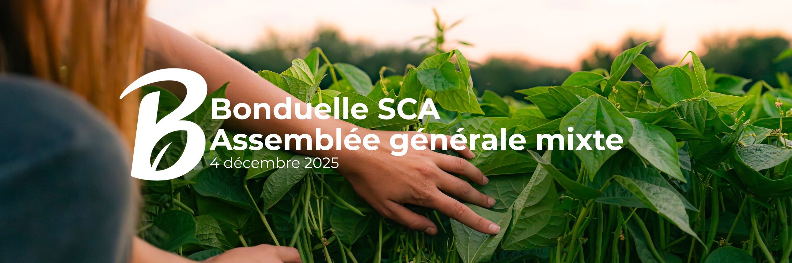AG BONDUELLE du 4 décembre 2025