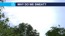 Why Do We Sweat