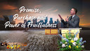 PNW Rally Thur PM - P.Boddy: Promise, Purchase and Power of Fruitfulness